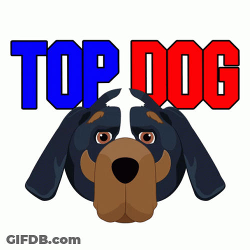 Puppy Top Big Dawg GIF
