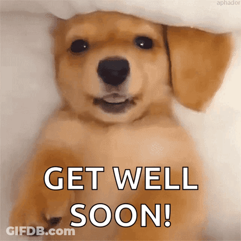 Puppy Under Blanket Get Well Soon GIF