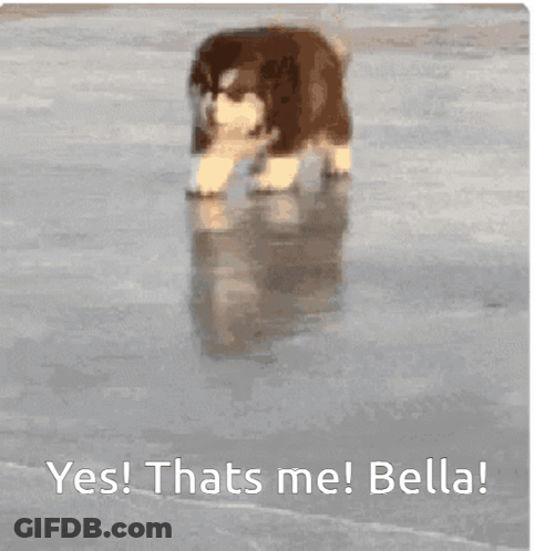 Puppy Walking On Ice Yes Thats Me Bella GIF