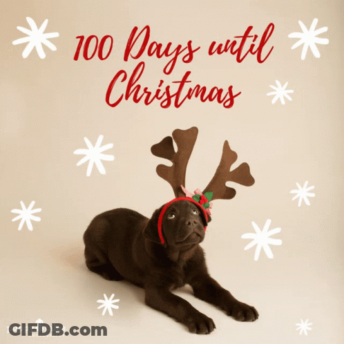 Puppy Wearing Reindeer Antlers 100 Days Until Christmas GIF