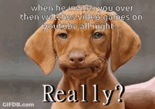 Puppy When He Invites You Over Then Watches Video Games On YouTube All Night GIF