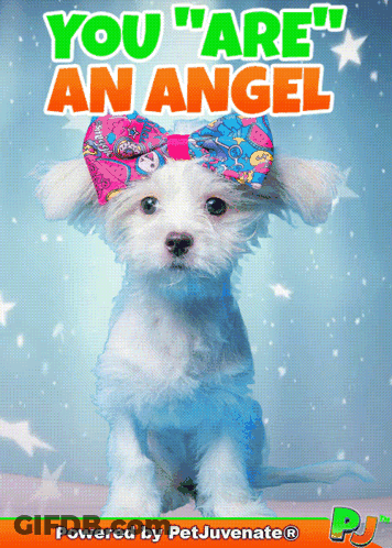 Puppy With Bow Saying You Are An Angel GIF