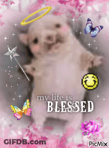 Puppy With Butterflies My Life Is Blessed GIF