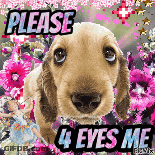 Puppy With Flowers Please 4 Eyes Me GIF