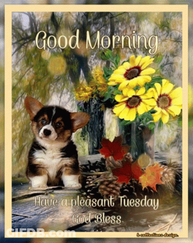 Puppy With Good Morning Have A Pleasant Tuesday God Bless GIF