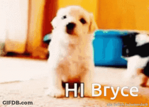 Puppy With Hi Bryce Above It GIF