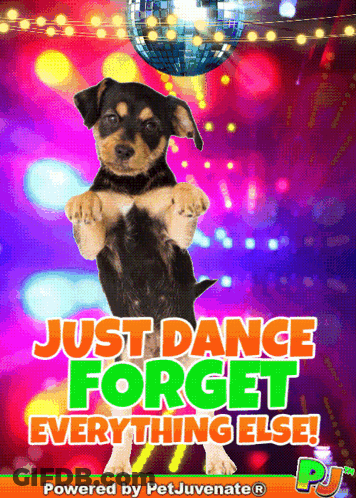 Puppy With Just Dance Forget Everything Else GIF
