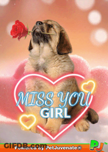 Puppy With Rose In Mouth Saying Miss You Girl GIF