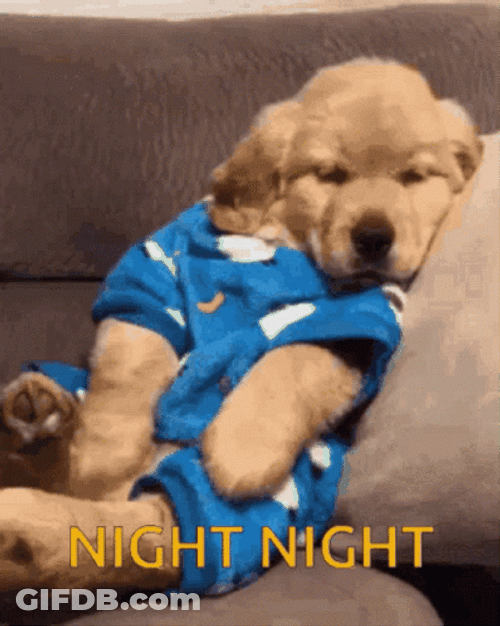 Puppy Yawn Night Night GIF