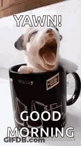 Puppy Yawning In Coffee Cup GIF
