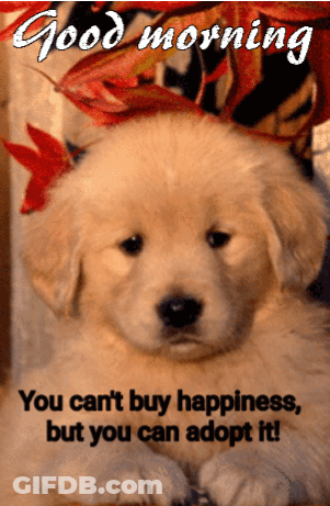 Puppy You Cant Buy Happiness But You Can Adopt It GIF