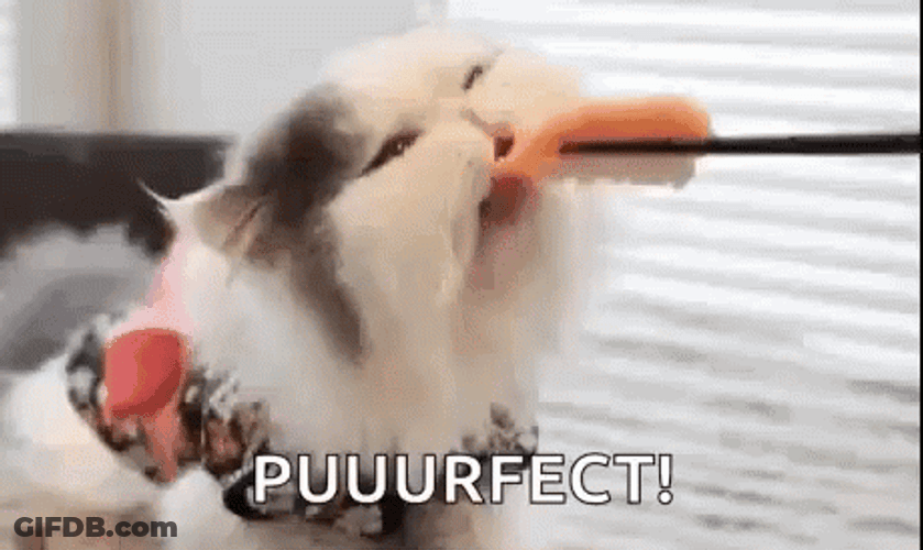 Purfect Yummy Sushi GIF