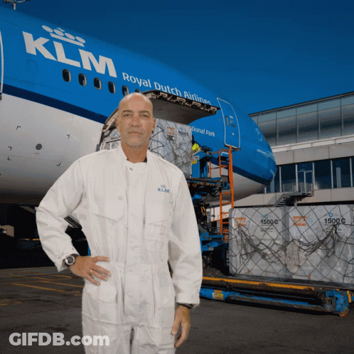 Purple And Blue Background Mohly12 Airport Security GIF