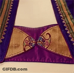 Purple And Gold Embroidered Blouse Close Up GIF