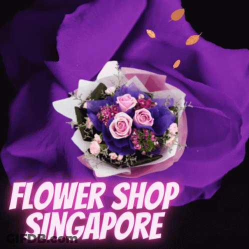 Purple And Pink Bouquet Flower Shop Singapore GIF