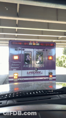 Purple And Silver Lifecare Ambulance Driving Under Bridge GIF