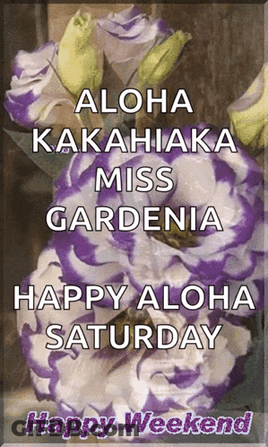 Purple And White Flower Bouquet Aloha Saturday GIF