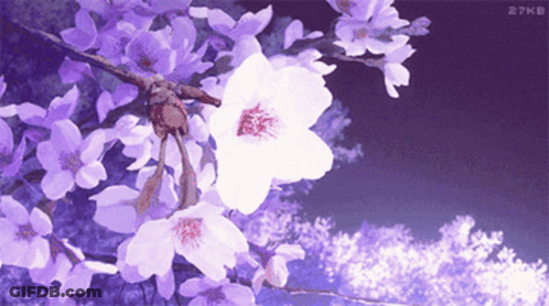 Purple And White Flowers On A Tree Branch GIF