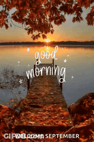Purple Background Butterflies Buongiorno Amici GIF