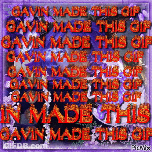 Purple Background Gavin Made This GIF