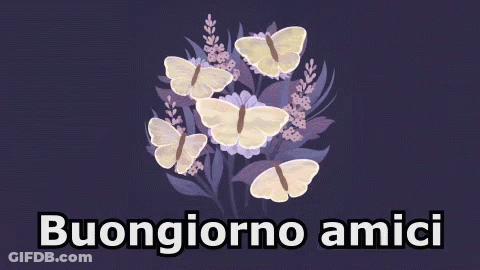 Purple Background With Butterflies Buongiorno Amici GIF
