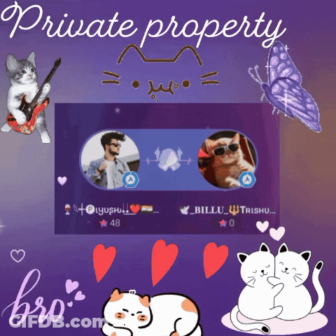 Purple Background With Cats And Butterflies Private Property GIF