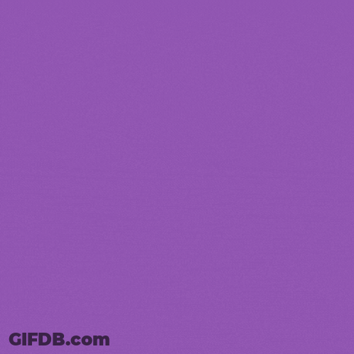 Purple Background With Spiders Pumpkin Candy Trick Or Treat GIF