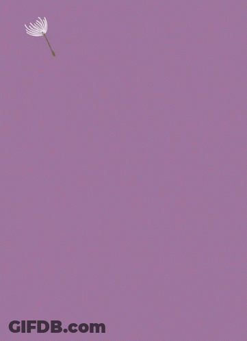Purple Background With White Flower GIF