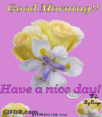 Purple Background With Yellow Roses And White Flowers Good Morning Have A Nice Day GIF