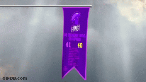 Purple Banner Saying Fungi On Pole GIF