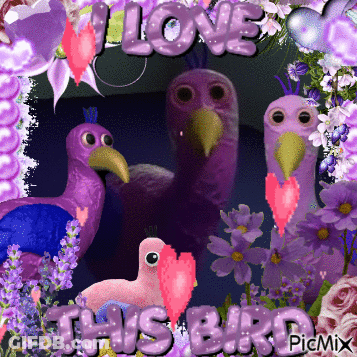 Purple Birds Love This Bird GIF