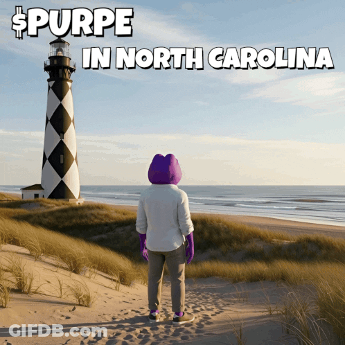Purple Bunny Costume At Lighthouse Spurpe North Carolina GIF