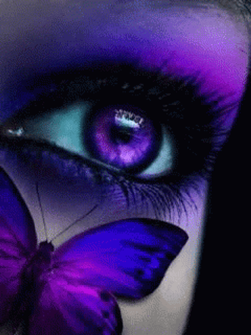 Purple Butterfly Blinking Eye GIF