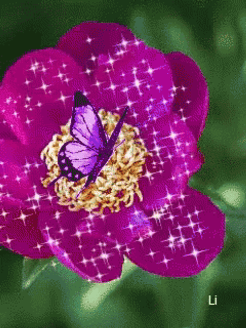 Purple Butterfly Flower Glitter GIF