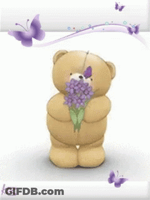 Purple Butterfly Flowers Cute Bear GIF