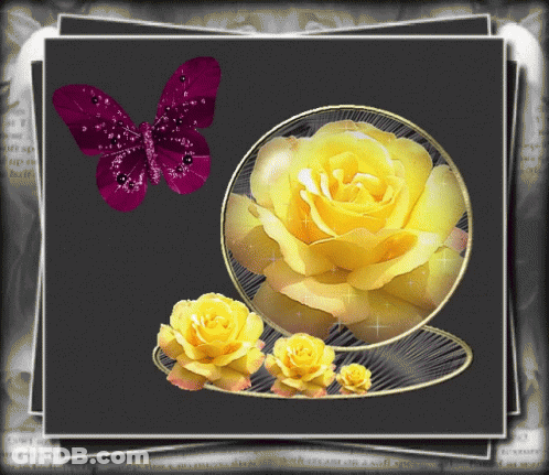 Purple Butterfly Flying Around Yellow Rose In Glass GIF