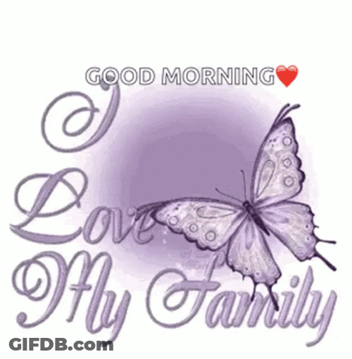 Purple Butterfly Good Morning Family GIF