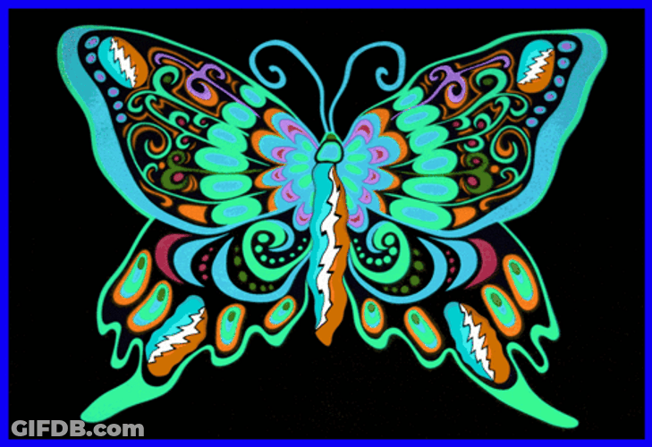 Purple Butterfly Neon Color Design Animation GIF