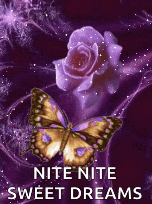 Purple Butterfly Rose Goodnight Sweet Dreams GIF