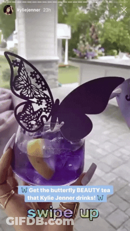 Purple Butterfly Tea Kylie Jenner Instagram GIF