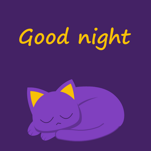 Purple Cat Good Night GIF