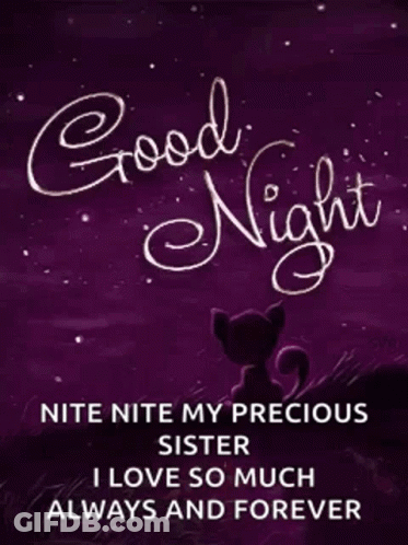 Purple Cat Poster Good Night GIF