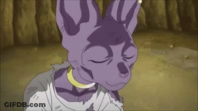 Purple Cat Standing On Dirt Road With Eyes Closed GIF