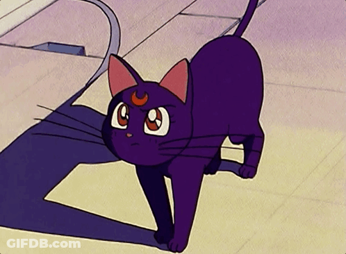Purple Cat With Crescent Moon Looking At Camera GIF