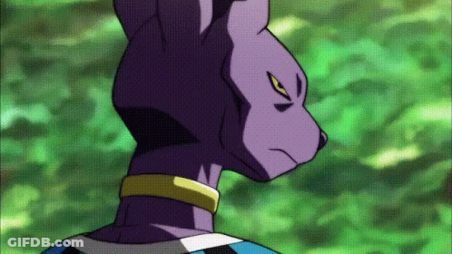 Purple Cat With Yellow Eyes And Collar GIF