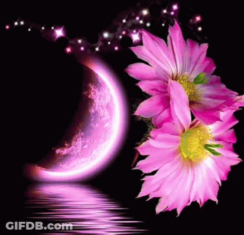 Purple Crescent Moon Reflected In Water GIF