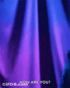 Purple Curtain Saying How Are You GIF
