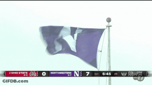 Purple Flag With Letter N Flying GIF