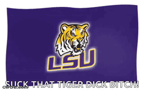 Purple Flag With Tiger Suck That Tiger Dick Bitch GIF