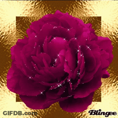 Purple Flower Blingee GIF